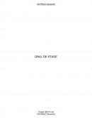 Oral de stage BEPA