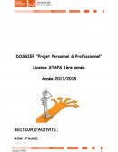 Projet Personnel Professionnel