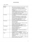 Sodebo, analyse externe et interne