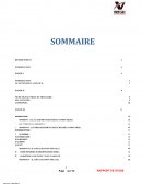 Rapport de stage Vercac