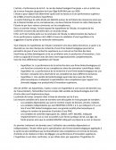 Performance et R&D