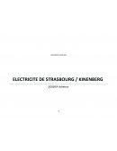 Cas de négociation Strasbourg Electricité