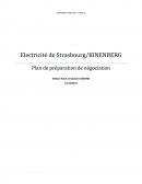 Etude de cas Strasbourg Electricité