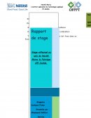 Rapport de stage Nestlé