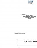 Droit des affaires