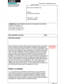 Devoir 1 Mercatique Bts Tourisme Etude De Cas Svr Lina