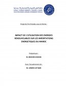 IMPACT DE L’UTILISATION DES ENERGIES RENOUVELABLES SUR LES IMPORTATIONS ENERGETIQUES DU MAROC