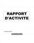 Rapport d'activité Simgest