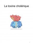La toxine cholérique