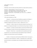 Plan détaillé de la synthèse sur les objets qui nous envahissent