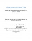 Droit international de l’environnement et droit du commerce international