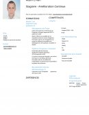 CV - Elève ingénieur en recherche de stage