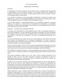 Droit de la responsabilité