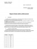 Cas pratique, rapport de référencement