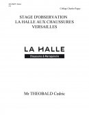 STAGE D'OBSERVATION À LA HALLE AUX CHAUSSURES