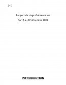 Rapport de stage d'observation