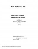 Plan d'affaires