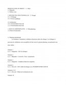 Présentation de projet