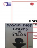 Coup de pilon de David DIOP