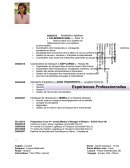 Cv-logistique