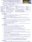 DISSERTATION, objectifs et conseils de méthode