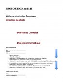 Canevas d'audit informatique