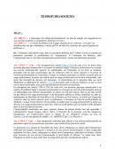 Typologie des sociétés