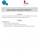 Guide de stage en entreprise en classe de 3e