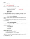 L'activité professionnelle