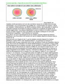 Exercice Type bac