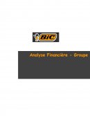 BIC Analyse