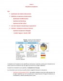 L'induction du mésoderme