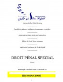 Droit pénal spécial