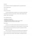 Dc 4 projet animation
