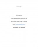 Fin 1020 tn1