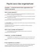 Chapitre 1 : le fonctionnement des organisations (de Taylor à nos jours)