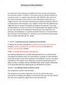 Institutions Internationales