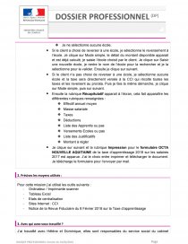 Exemple De Dossier Professionnel Rempli