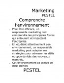 Marketing PESTEL