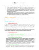 Le droit objectif