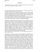 Dissertation sur Candide ou l'Optimisme de Voltaire