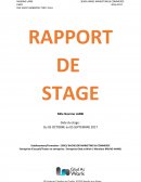 Dossier Rapport de Stage