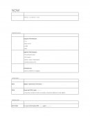 CV Informatique BTS exemple