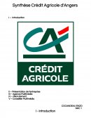 Synthèse Crédit Agricole d'Angers