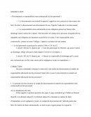 « Discernement et responsabilité extra-contractuelle du fait personnel »
