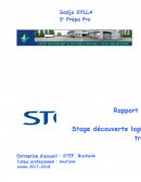 Rapport de stage entreprise STEF