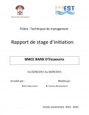 Filière : Techniques de management