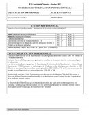 Fiche E6, action professionnelle