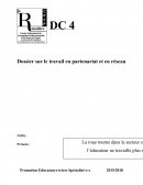 DC4 DEES Dossier sur le travail en partenariat et en réseau d'éducateur spécialisé