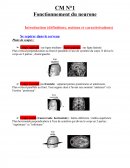 Fonctionnement du neurone Introduction et bases